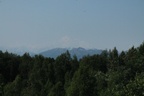 IMG 4249