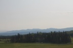 IMG 3993
