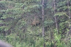 IMG 4199